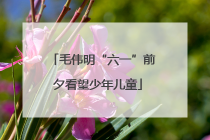 毛伟明“六一”前夕看望少年儿童