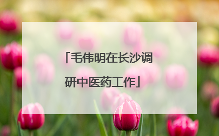 毛伟明在长沙调研中医药工作