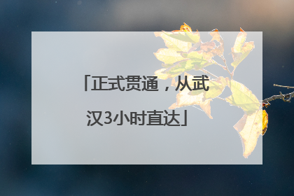 正式贯通，从武汉3小时直达