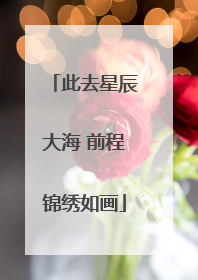 此去星辰大海 前程锦绣如画