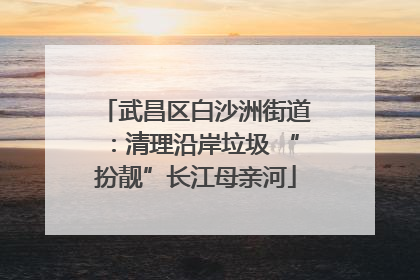 武昌区白沙洲街道：清理沿岸垃圾 “扮靓”长江母亲河