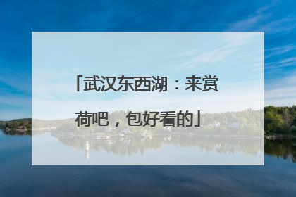 武汉东西湖：来赏荷吧，包好看的
