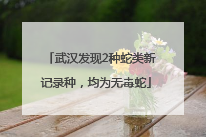 武汉发现2种蛇类新记录种，均为无毒蛇