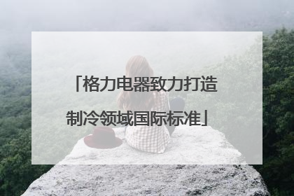 格力电器致力打造制冷领域国际标准