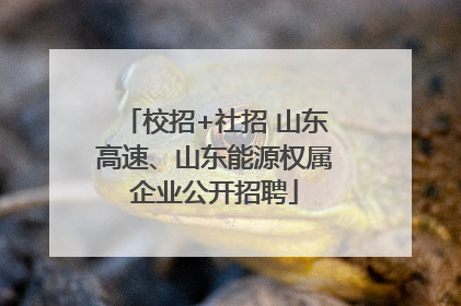校招+社招 山东高速、山东能源权属企业公开招聘