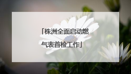 株洲全面启动燃气表首检工作