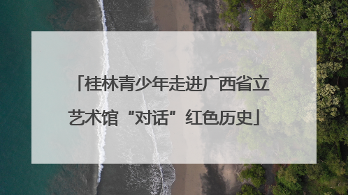 桂林青少年走进广西省立艺术馆“对话”红色历史