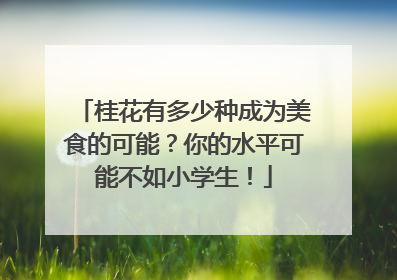桂花有多少种成为美食的可能？你的水平可能不如小学生！