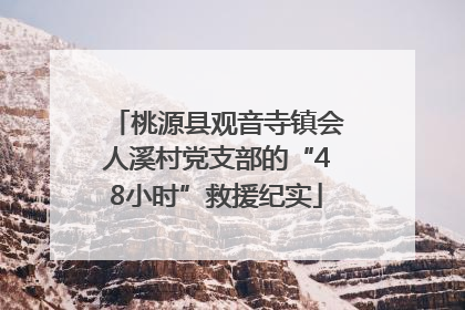 桃源县观音寺镇会人溪村党支部的“48小时”救援纪实
