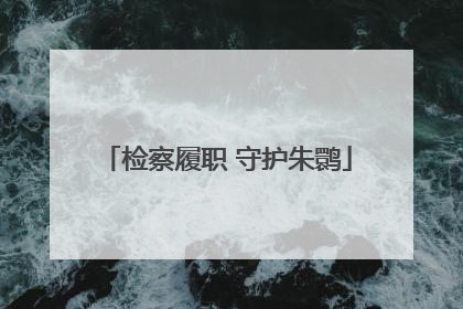 检察履职 守护朱鹮