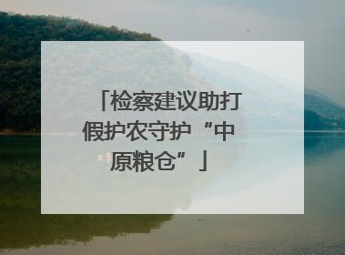 检察建议助打假护农守护“中原粮仓”