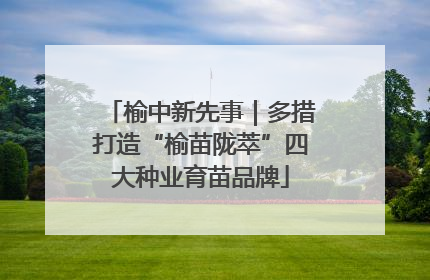 榆中新先事｜多措打造“榆苗陇萃”四大种业育苗品牌