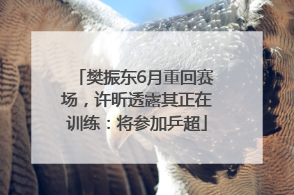 樊振东6月重回赛场，许昕透露其正在训练：将参加乒超