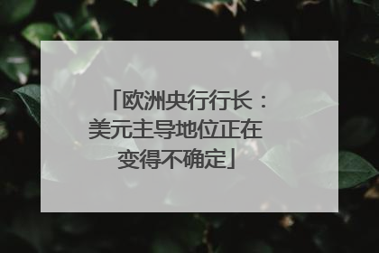 欧洲央行行长：美元主导地位正在变得不确定
