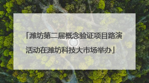 潍坊第二届概念验证项目路演活动在潍坊科技大市场举办