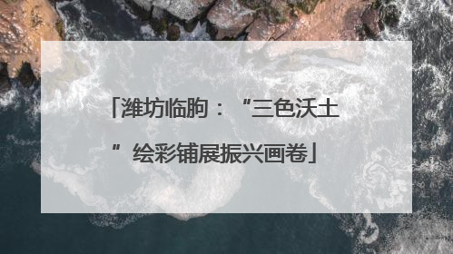 潍坊临朐：“三色沃土”绘彩铺展振兴画卷