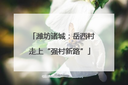 潍坊诸城：岳西村走上“强村新路”