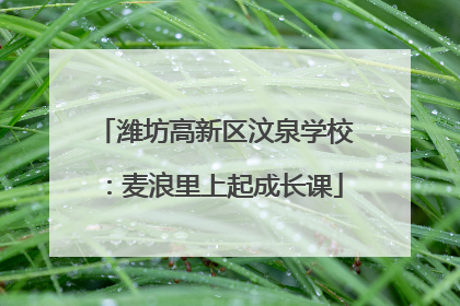 潍坊高新区汶泉学校：麦浪里上起成长课