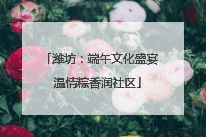 潍坊：端午文化盛宴 温情粽香润社区
