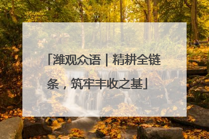 潍观众语｜精耕全链条，筑牢丰收之基
