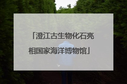 澄江古生物化石亮相国家海洋博物馆