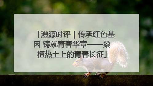 澧源时评｜传承红色基因 铸就青春华章——桑植热土上的青春长征