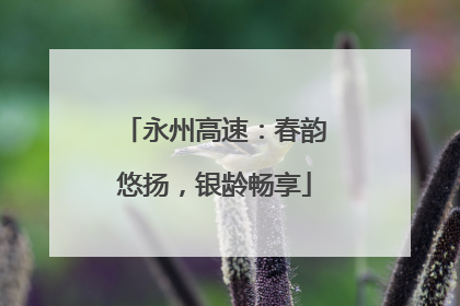 永州高速：春韵悠扬，银龄畅享