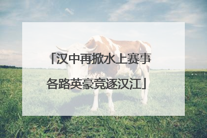 汉中再掀水上赛事 各路英豪竞逐汉江