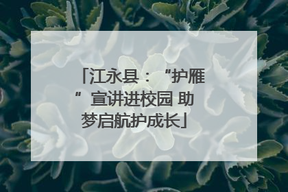 江永县：“护雁”宣讲进校园 助梦启航护成长