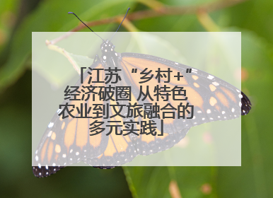 江苏“乡村+”经济破圈 从特色农业到文旅融合的多元实践