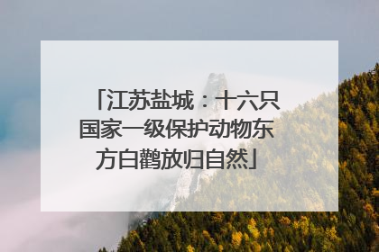 江苏盐城：十六只国家一级保护动物东方白鹳放归自然