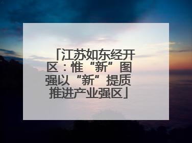 江苏如东经开区：惟“新”图强以“新”提质推进产业强区