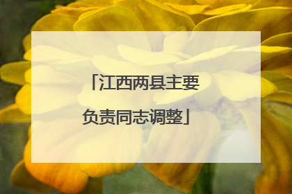 江西两县主要负责同志调整