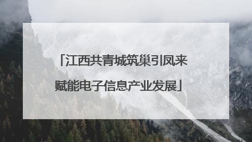 江西共青城筑巢引凤来 赋能电子信息产业发展