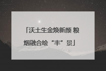沃土生金焕新颜 粮烟融合绘“丰”景