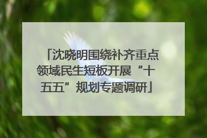 沈晓明围绕补齐重点领域民生短板开展“十五五”规划专题调研