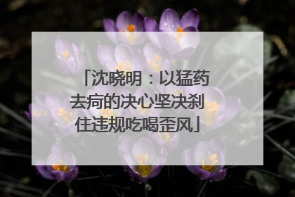 沈晓明：以猛药去疴的决心坚决刹住违规吃喝歪风