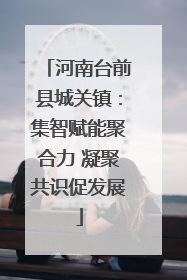 河南台前县城关镇：集智赋能聚合力 凝聚共识促发展