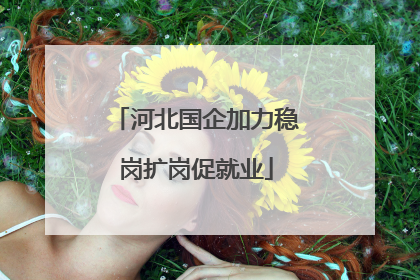 河北国企加力稳岗扩岗促就业