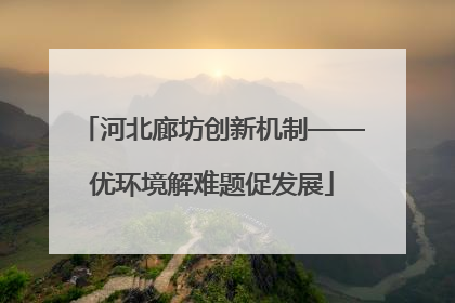 河北廊坊创新机制——优环境解难题促发展