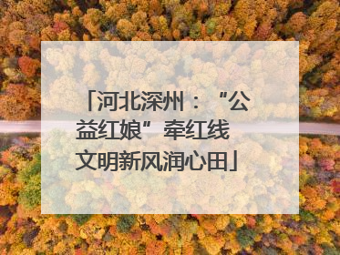 河北深州：“公益红娘”牵红线 文明新风润心田