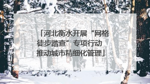 河北衡水开展“网格徒步踏查”专项行动 推动城市精细化管理