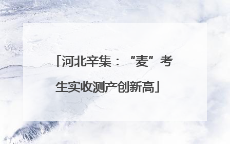 河北辛集：“麦”考生实收测产创新高