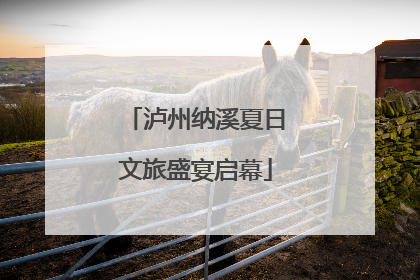 泸州纳溪夏日文旅盛宴启幕