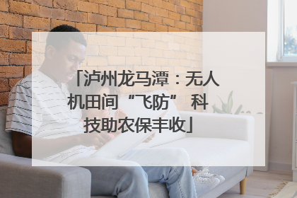 泸州龙马潭：无人机田间“飞防” 科技助农保丰收