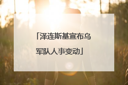 泽连斯基宣布乌军队人事变动