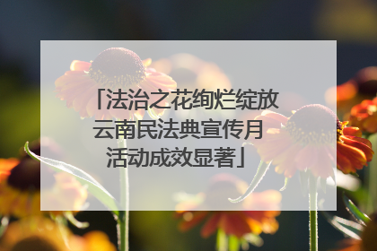 法治之花绚烂绽放 云南民法典宣传月活动成效显著