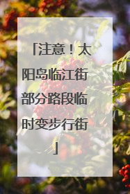 注意！太阳岛临江街部分路段临时变步行街