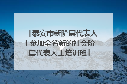 泰安市新阶层代表人士参加全省新的社会阶层代表人士培训班