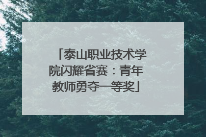 泰山职业技术学院闪耀省赛：青年教师勇夺一等奖